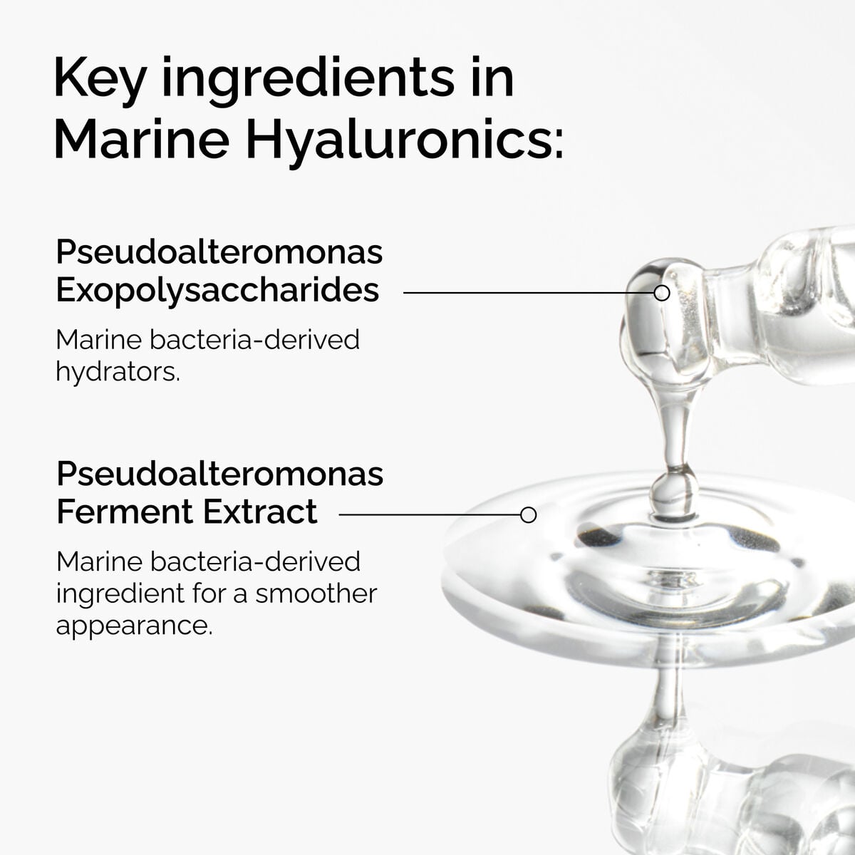 marine-hyaluronics-t3 FY25-D41247-ORD-Web-PDP-Marine-Hya-1x1-EN-2a.jpg