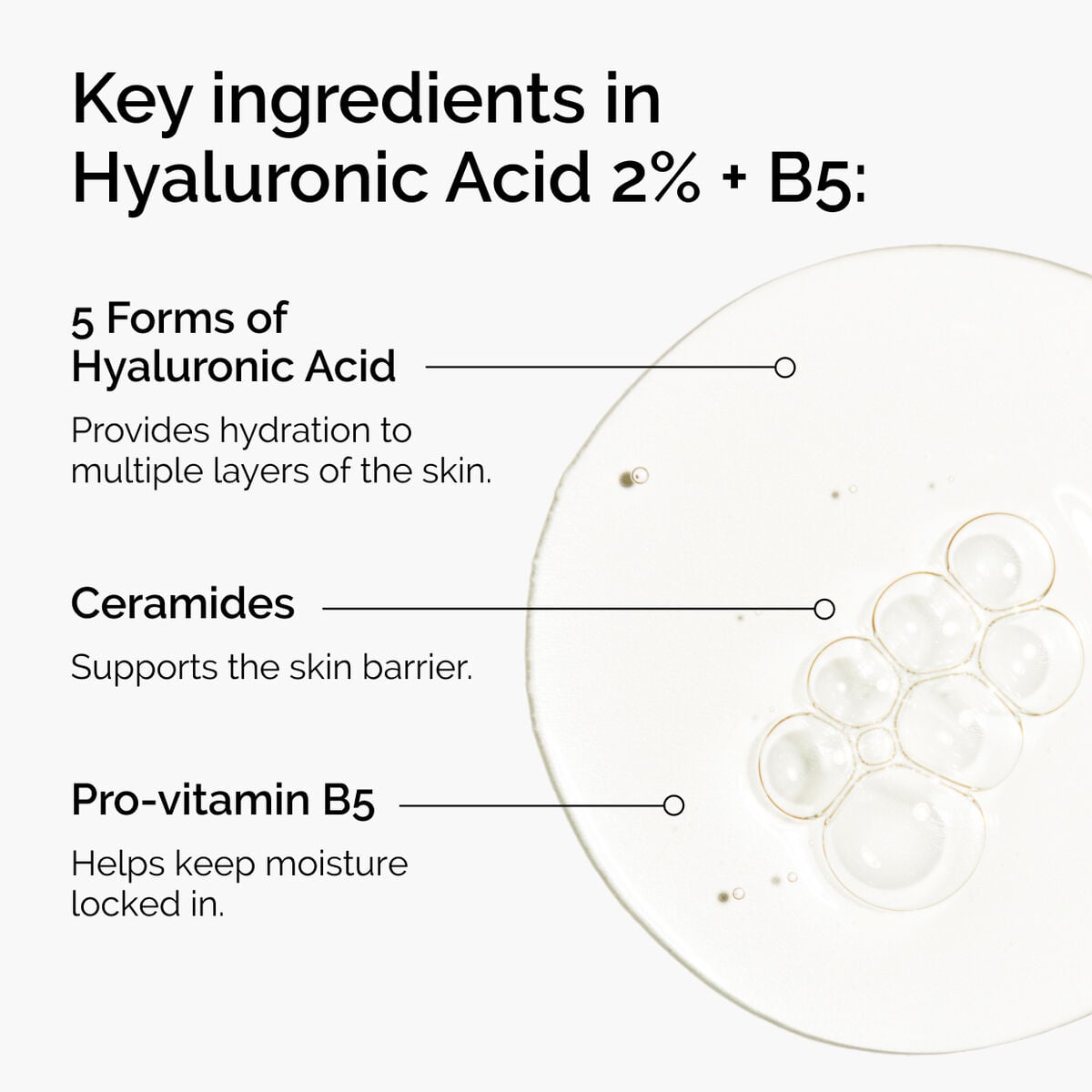 hyaluronic-acid-2-b5-with-ceramides-t7 ord-hyaluronic-acid-2pct-b5-hydrating-serum-ingredients-graphic.jpg